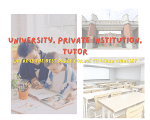 Learning Guide 6 University, private institutions, or private tutoring—where is the best place for me to learn Chinese?